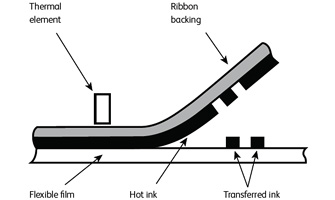 codificadora-termica-termotransferencia.es